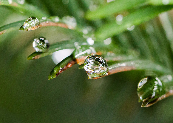Raindrop Macro I