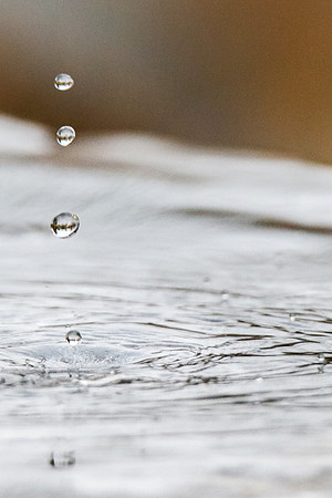 Drip Echoes